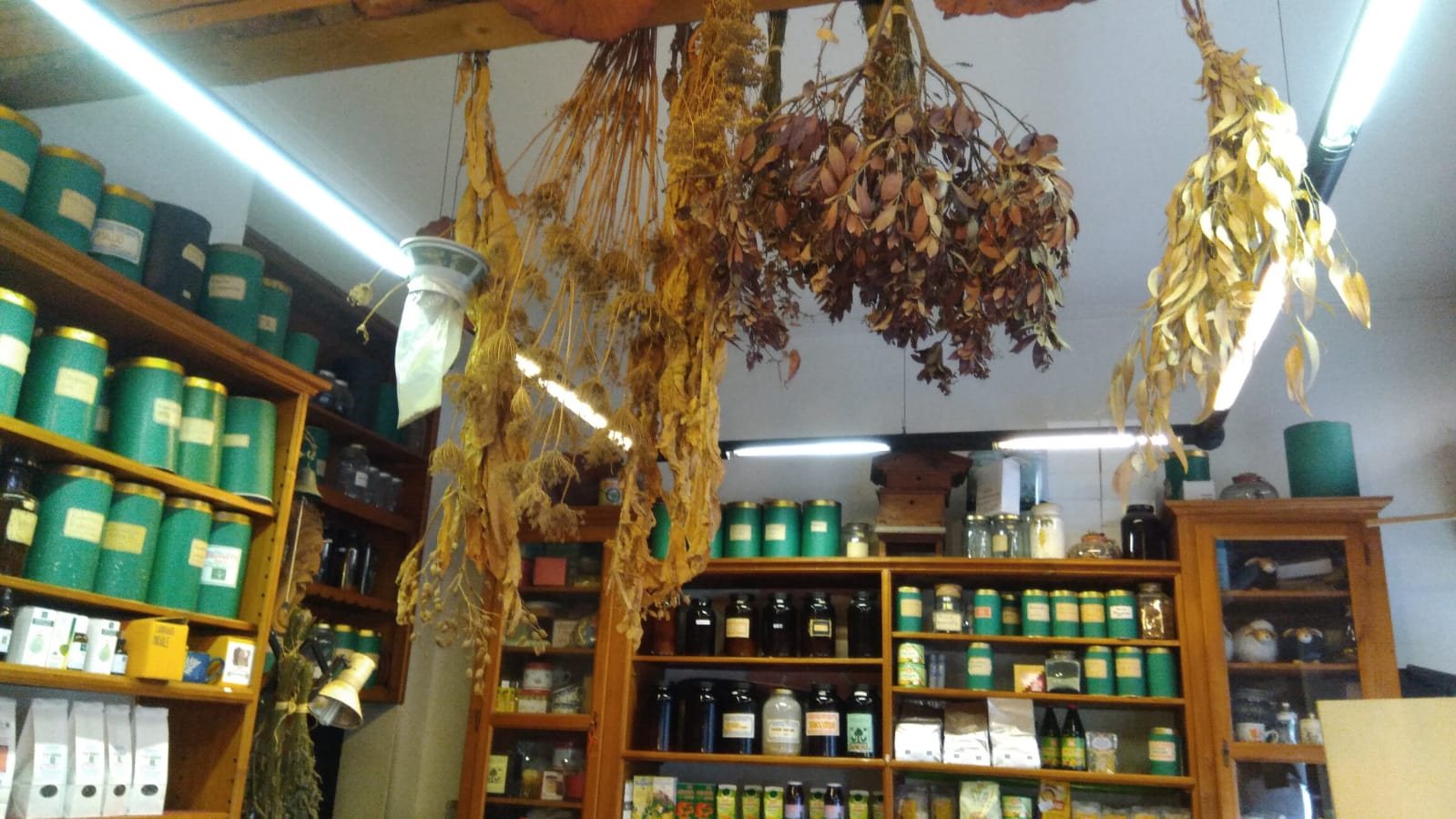 Bunches of dried medicinal herbs hanging in the Erboristeria Officinale shop in Milan